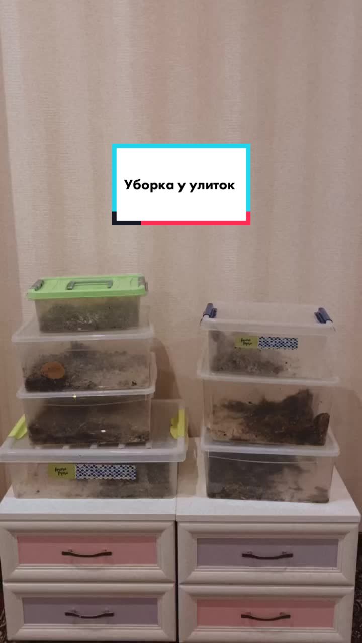 @My_Clams