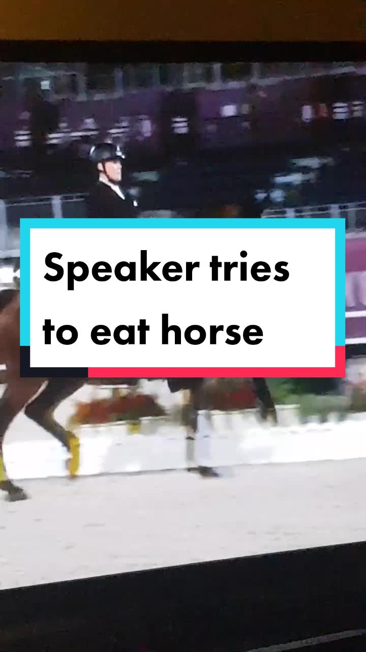 @Artline Dressage
