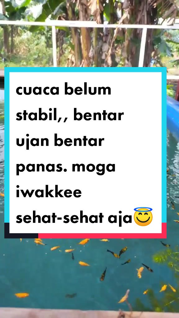 @WarungOnline89