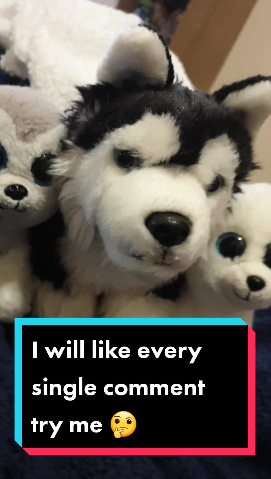 @Wolfy Ted