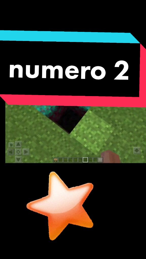 @minecraft_gamer_