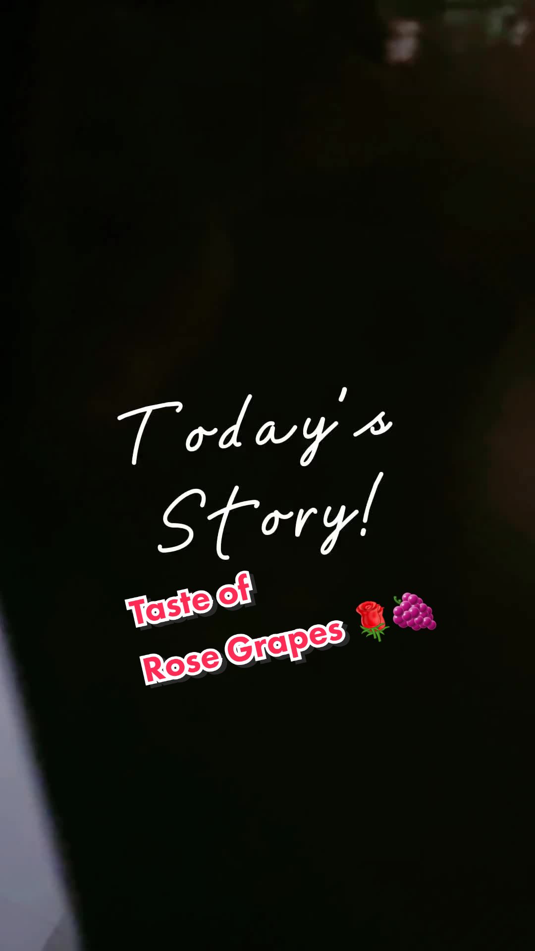 @janiceesoh