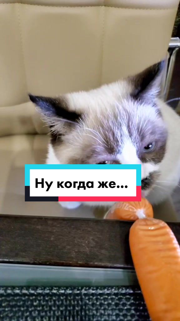 @Кот Клякса