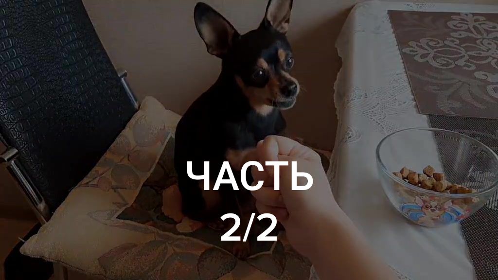 @Наташа Порядина