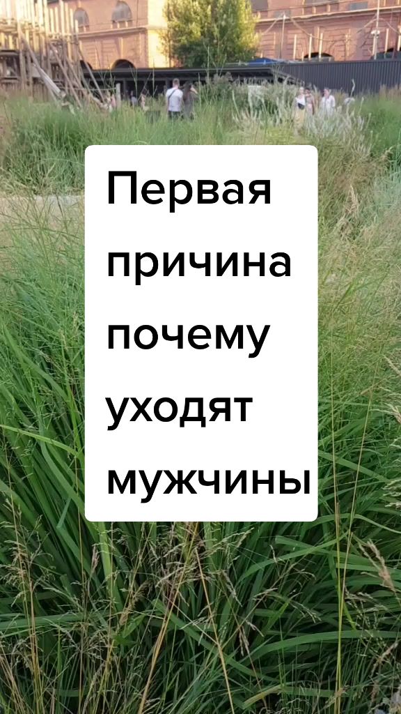 @Екатерина