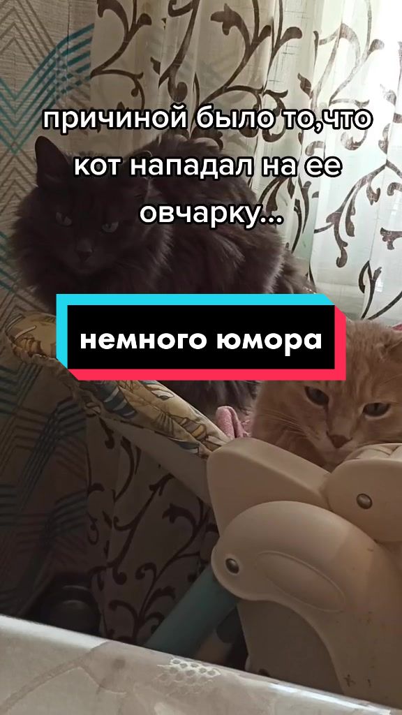 @leva.opakot