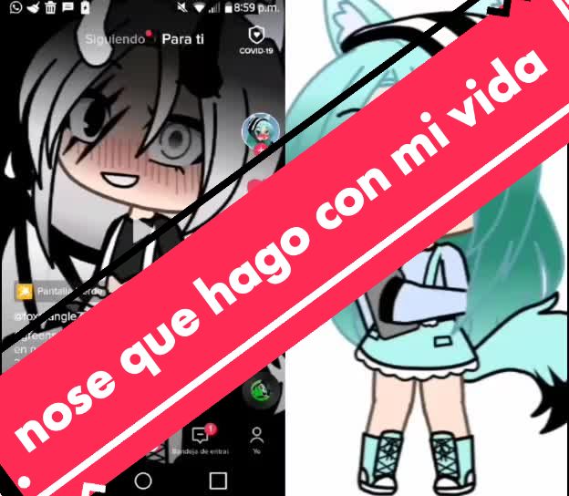 @archi uwu