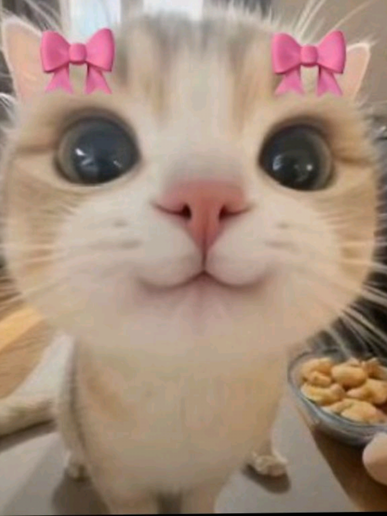@ʀᴜʙʙᴇʀɢʀɪᴘᴘᴀɢᴇ