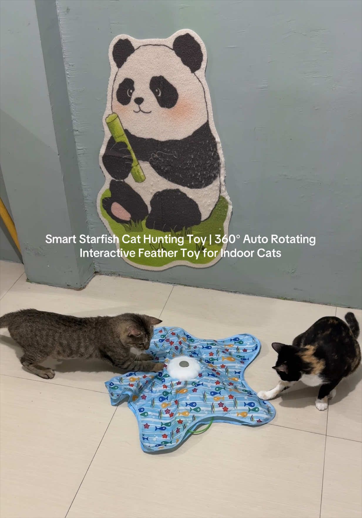 @LaaFindsDaily 🐼ྀི