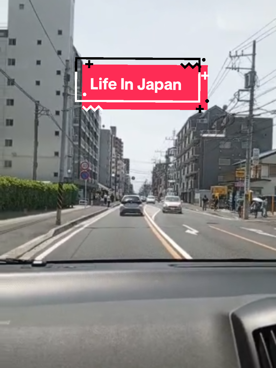 @Solo_traveler