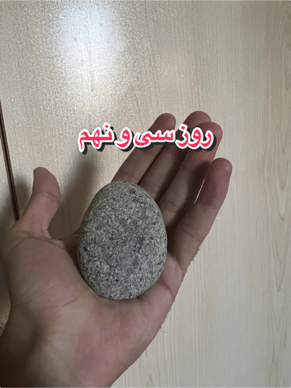 @قلی | یه حیوون خونگی متفاوت