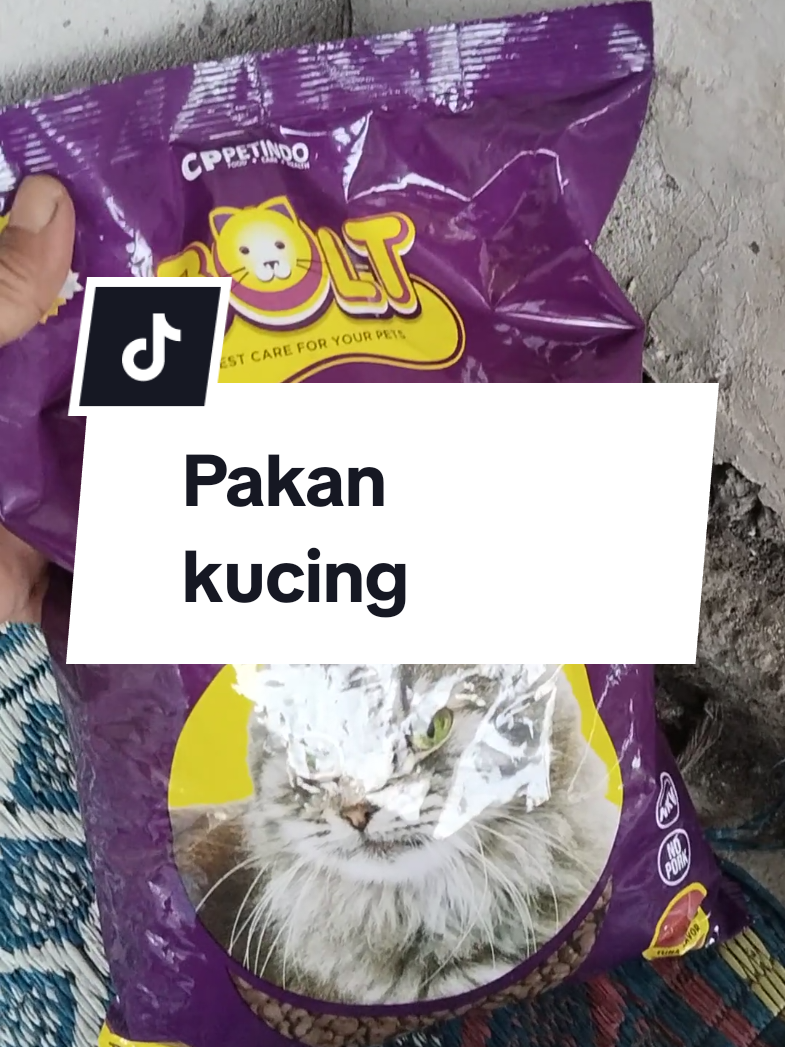 @WONK CEDAL R