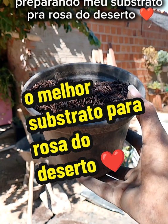 @Maisa Silva ❤️
