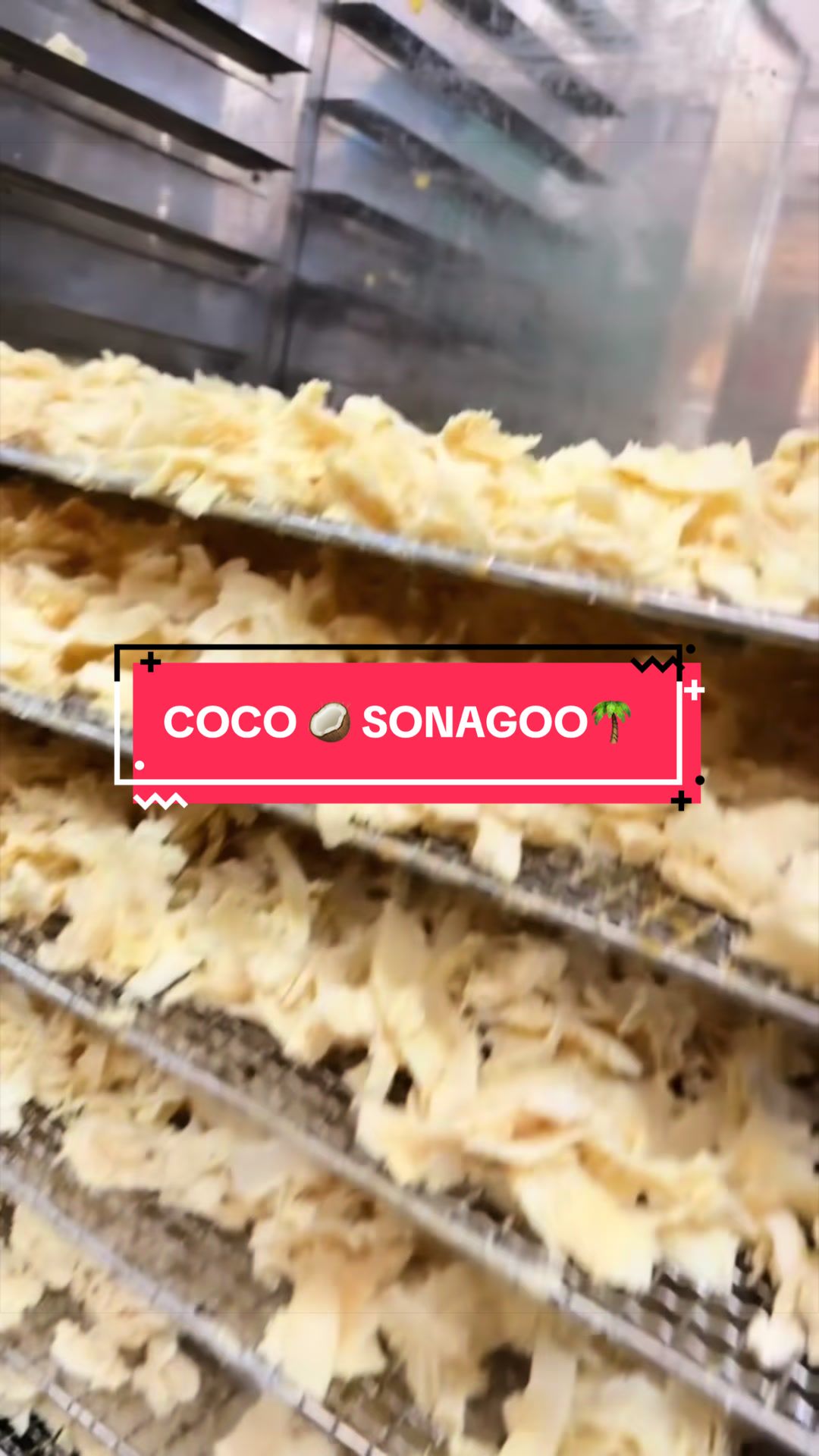 @Sonagoo Transformation Ag