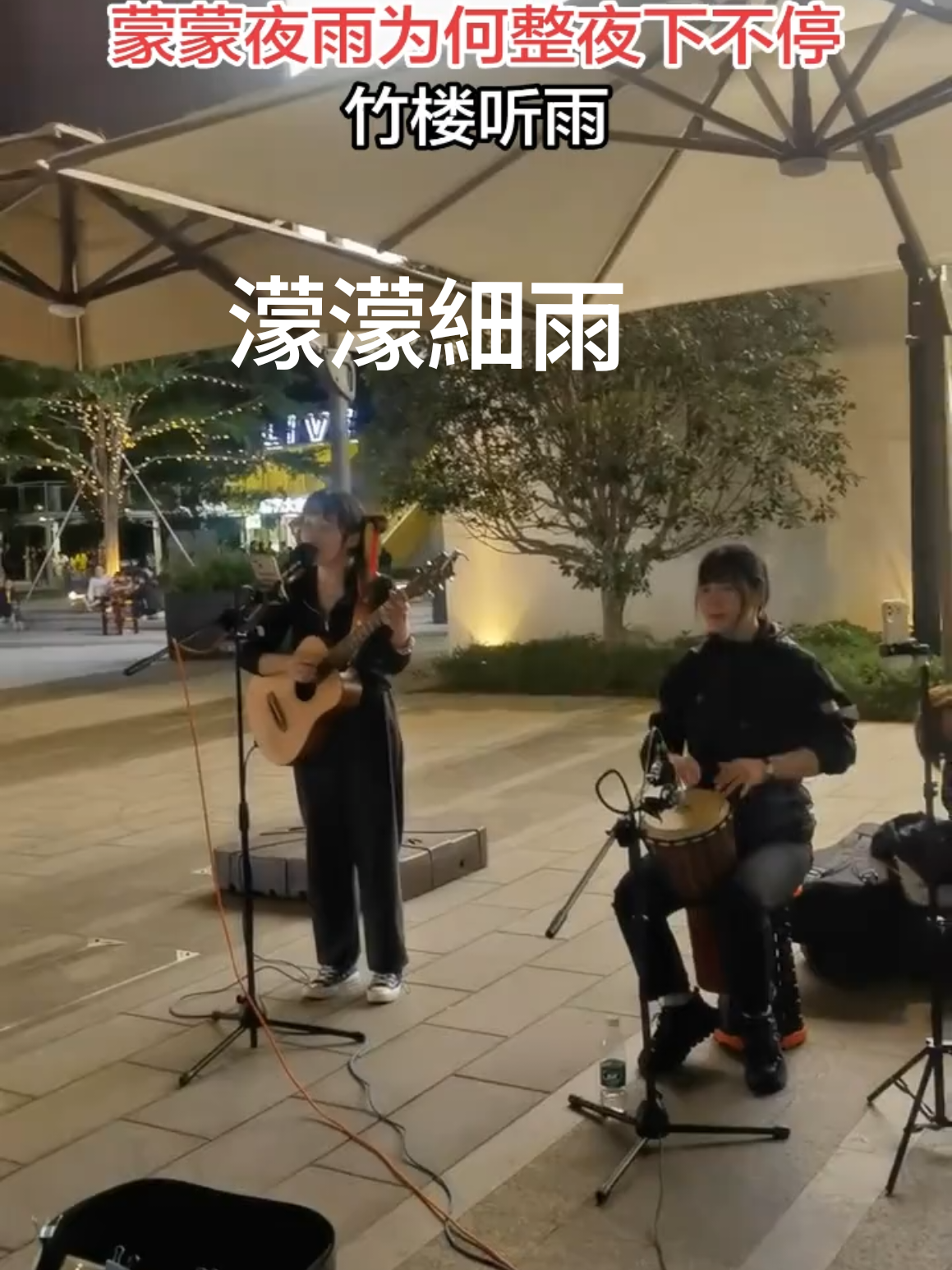 @美丽的世界