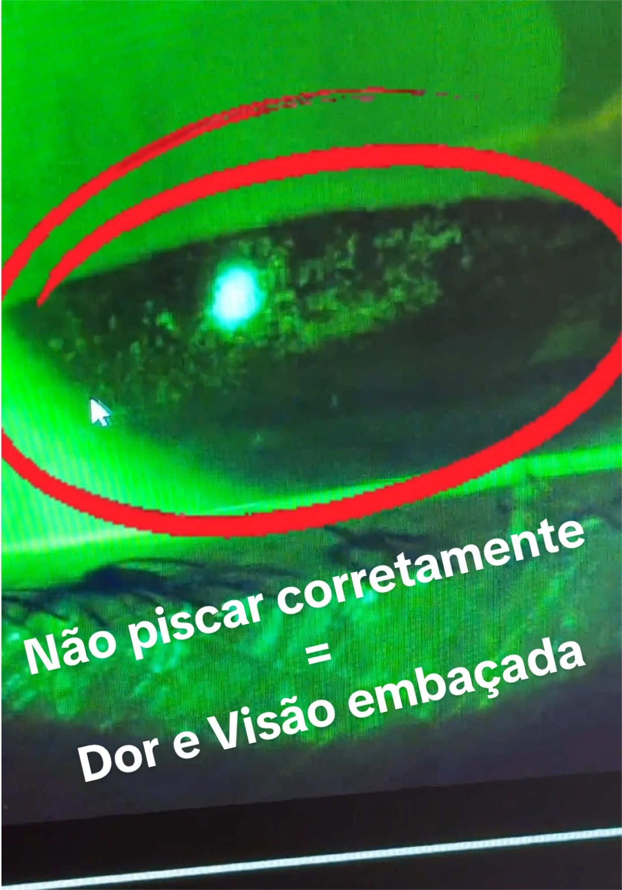 @Dra.&ensp;Camilla&ensp;Totti