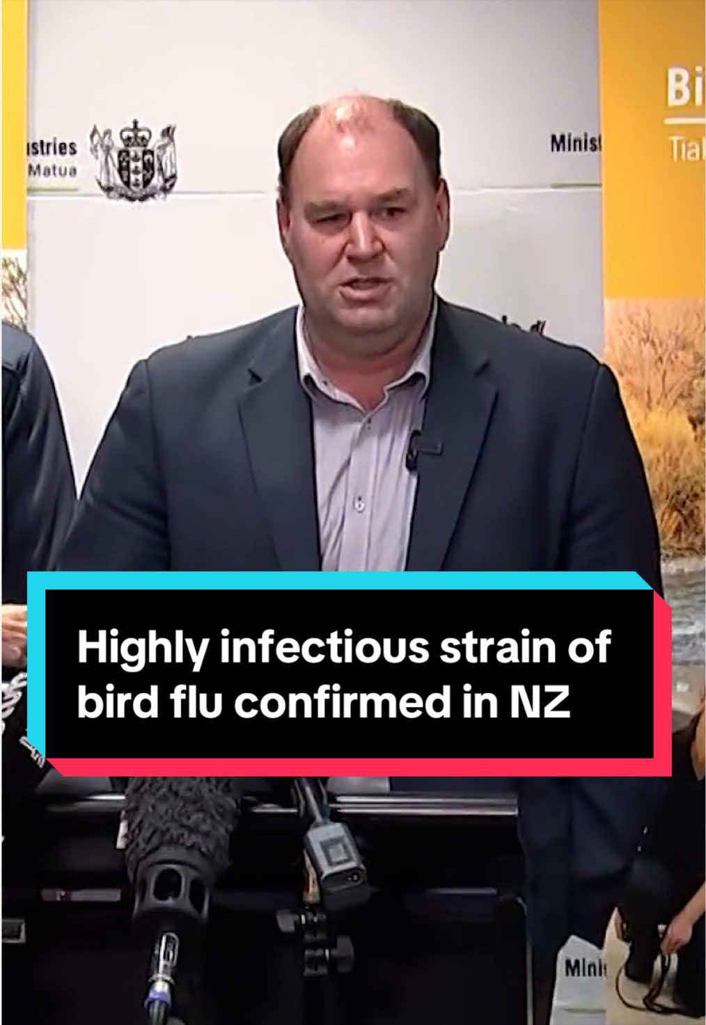 @NZstuff