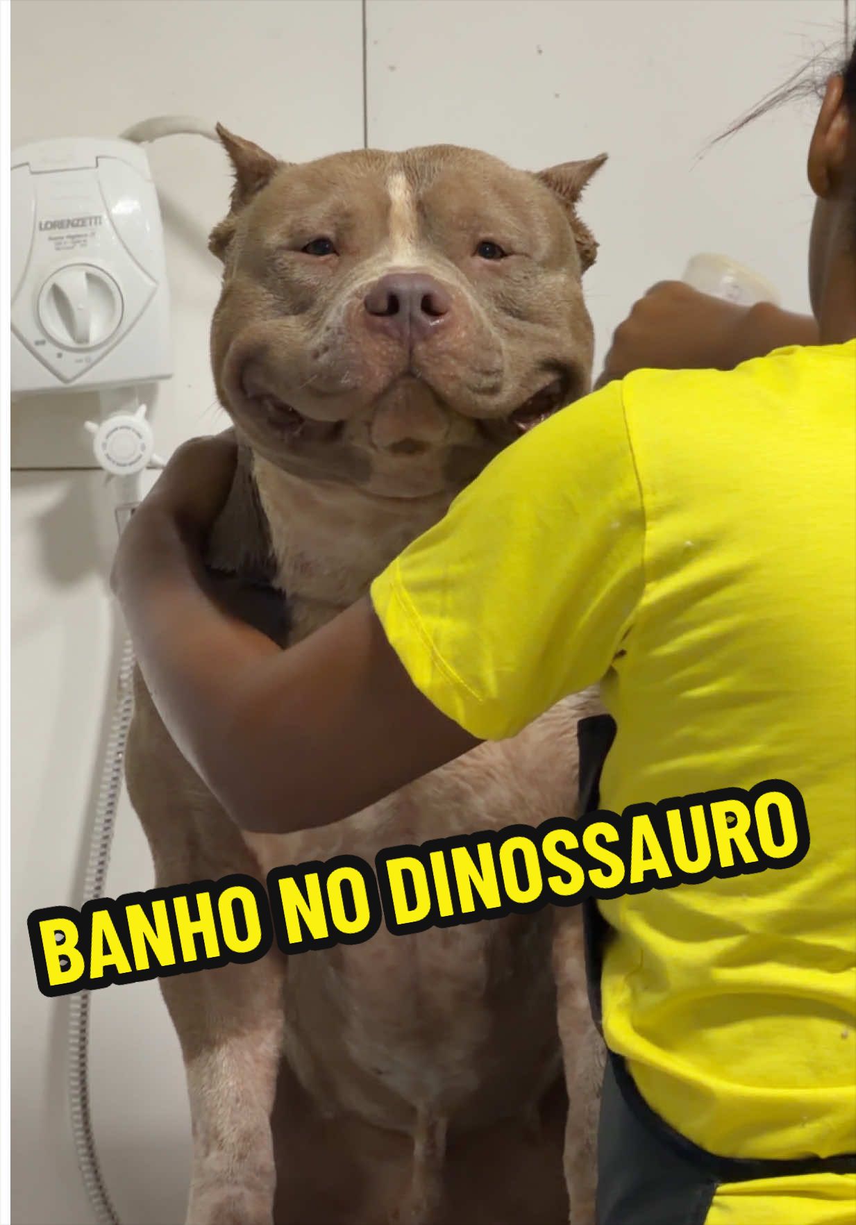 @Família Ragnar 🐶