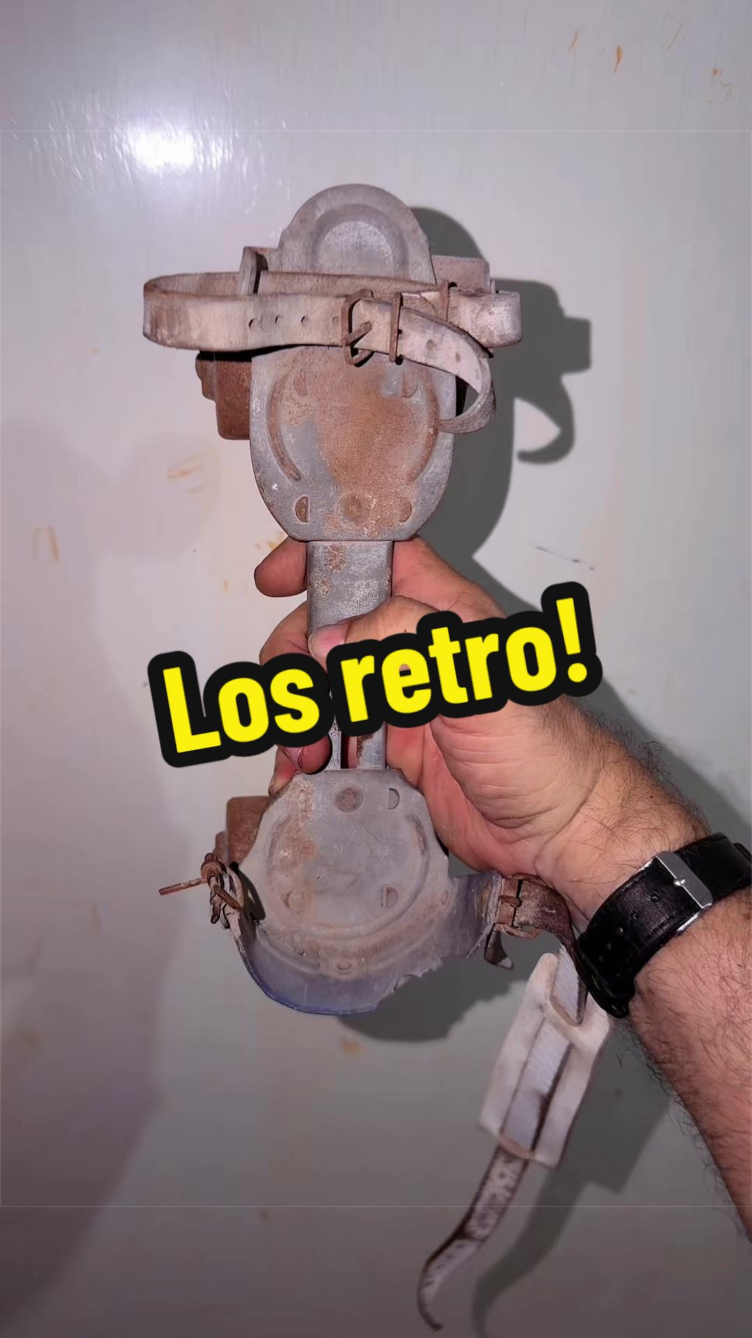 @Mister Naranjo