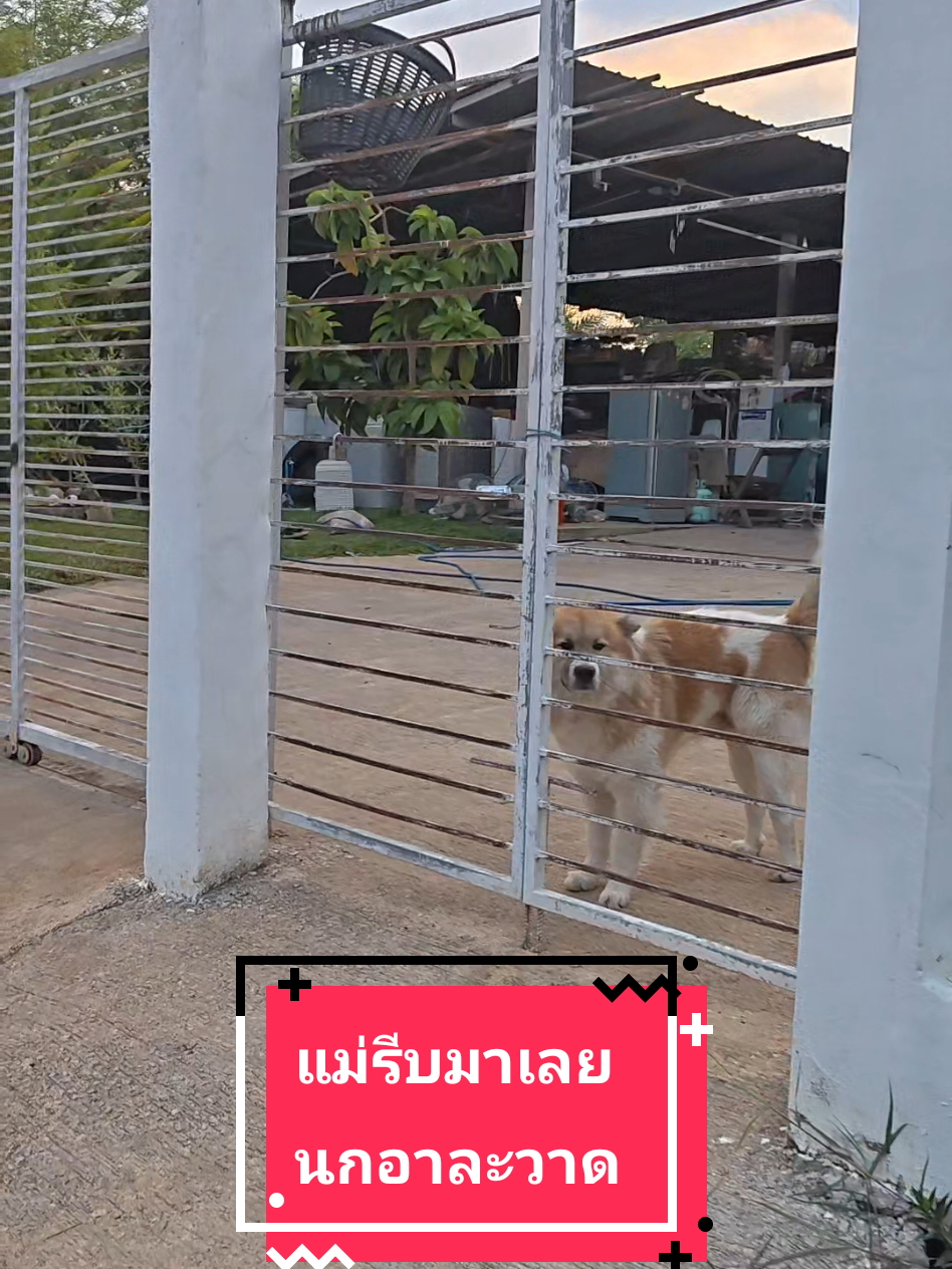 @หลิวหลิว แม่พี่ธอร์