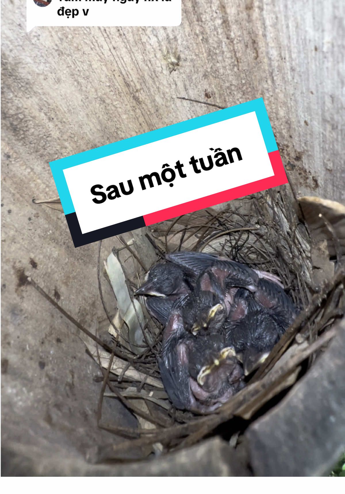 @C&C Miền N&uacute;i ⛰️