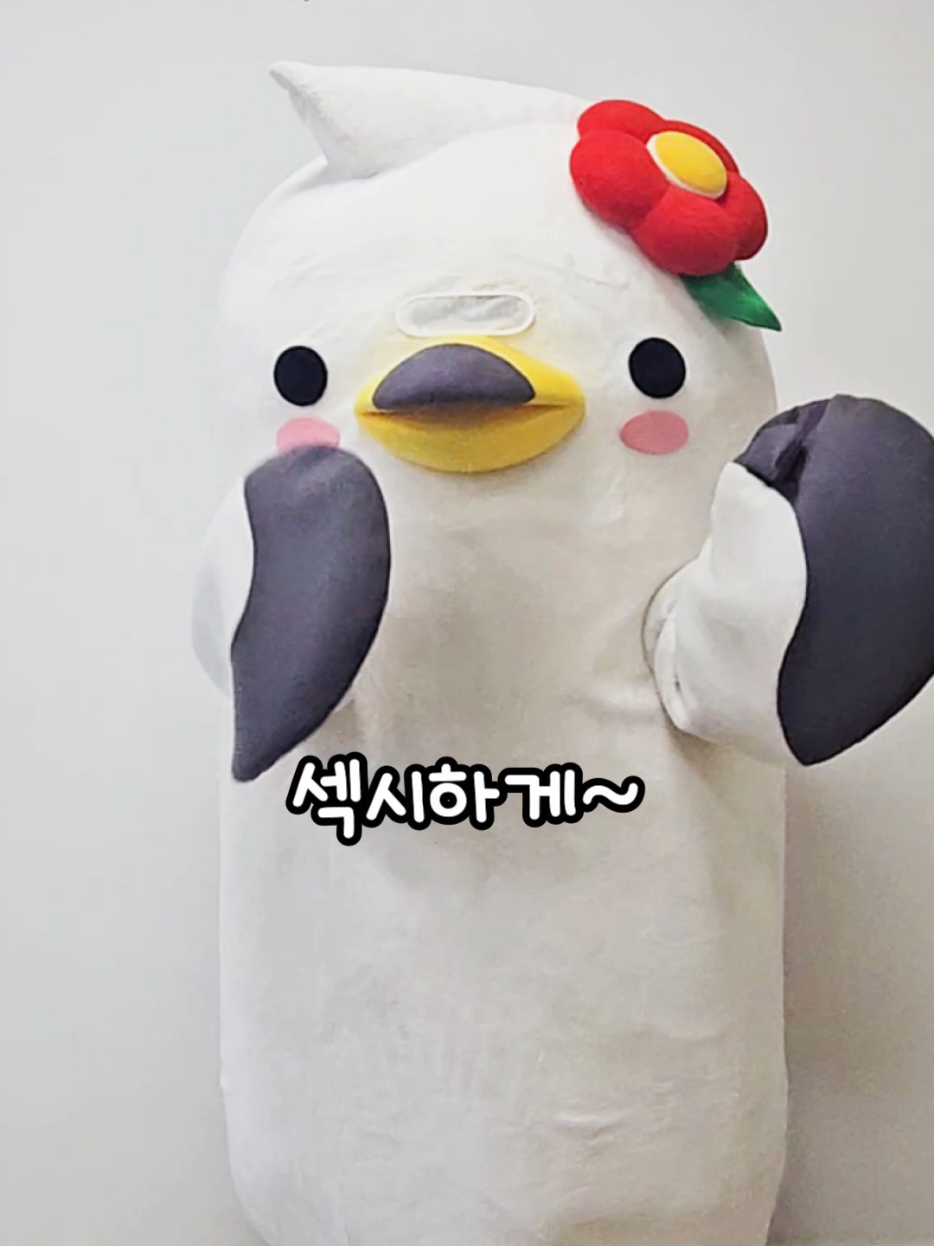 @동백이