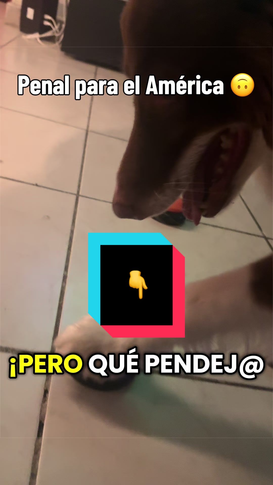 @Dan MS