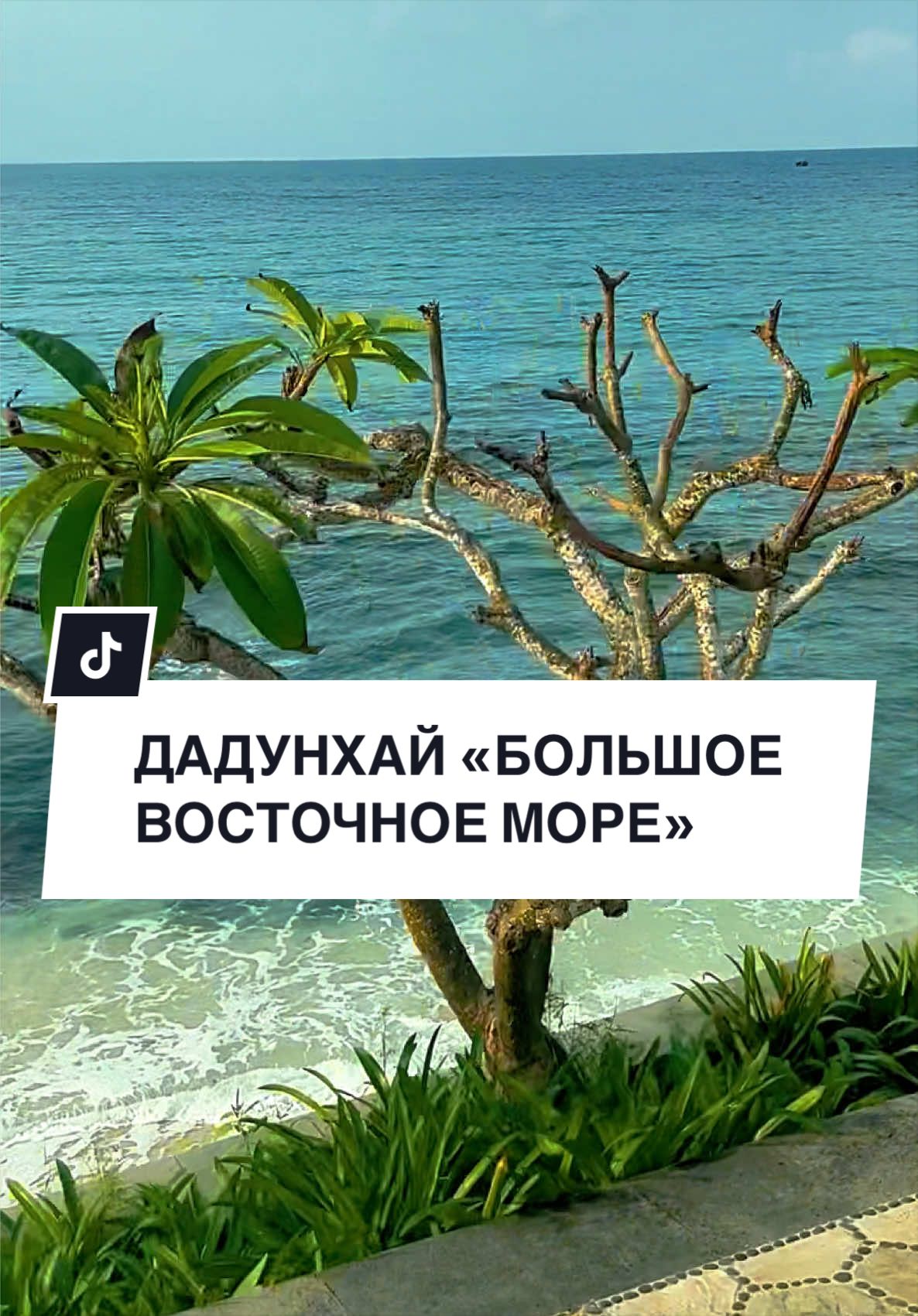 @NASI