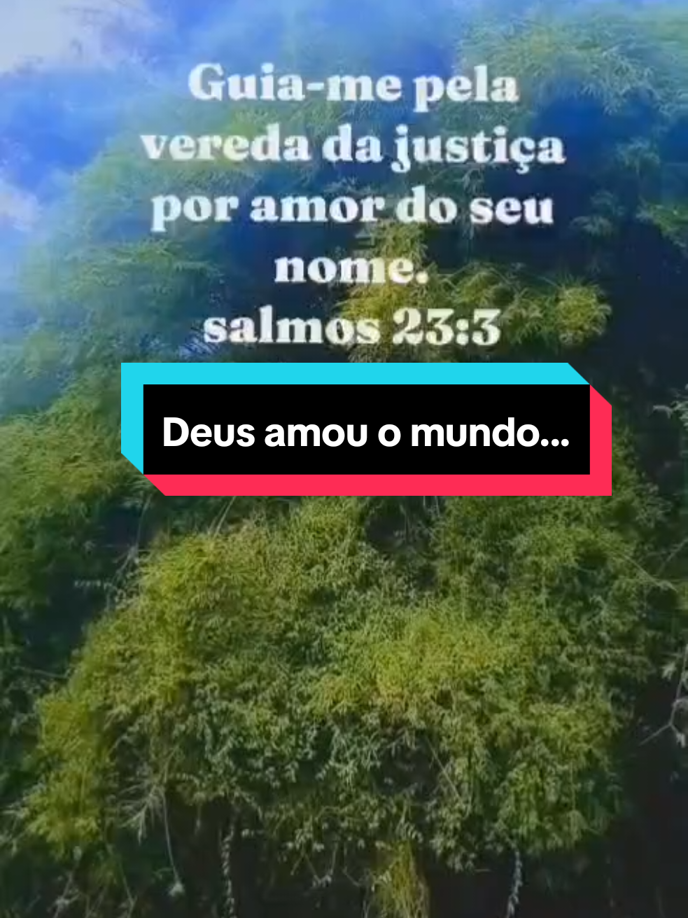 @Maria Paiva paiva