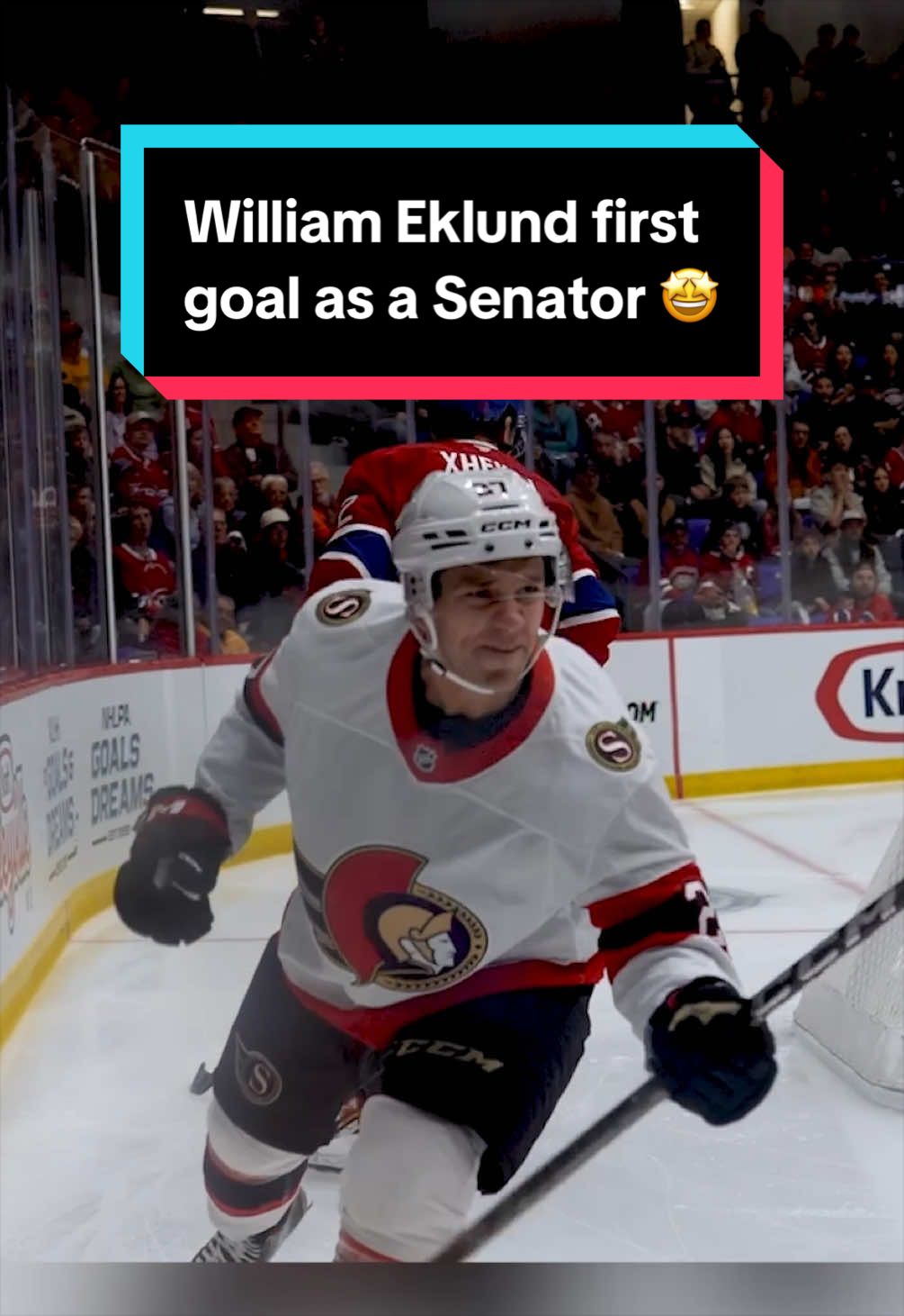 @Ottawa Senators