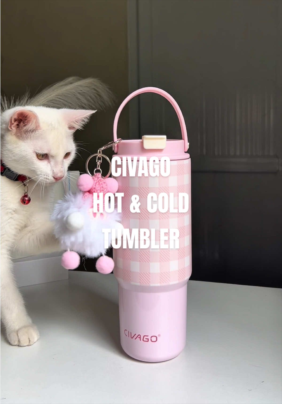 @Camillee Finds🛒
