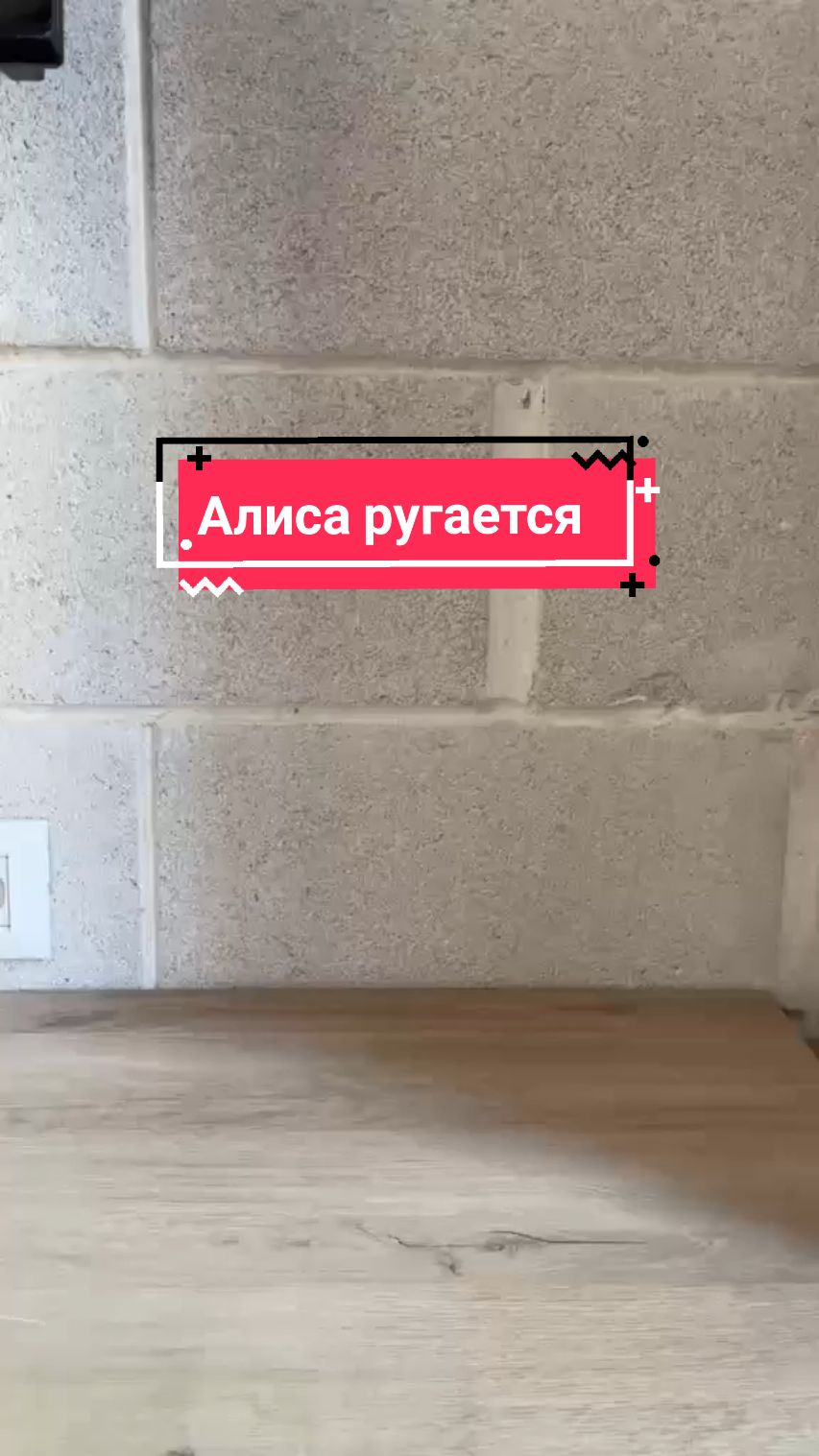 @Яндекс Станции Алиса в Израиле