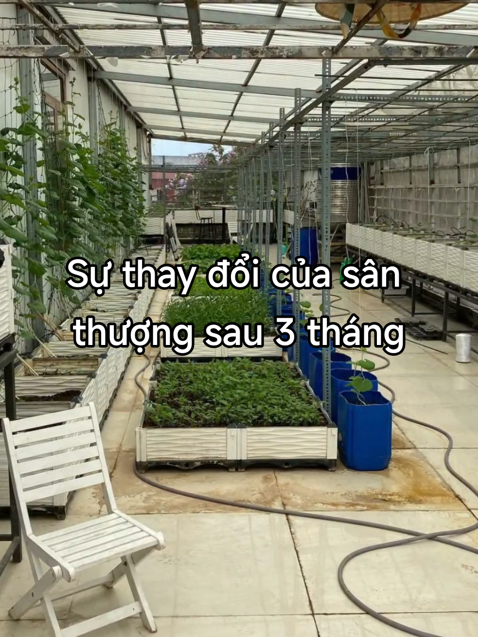 @Dược sĩ cỏ