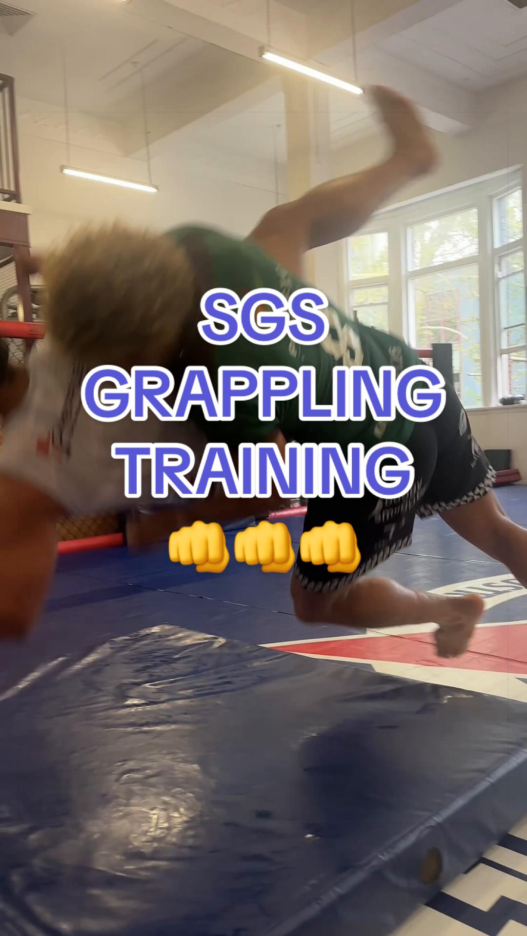 @Sports Grappling Systems