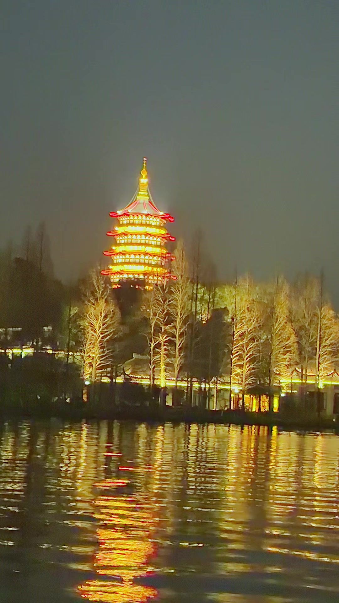 @金丽阳