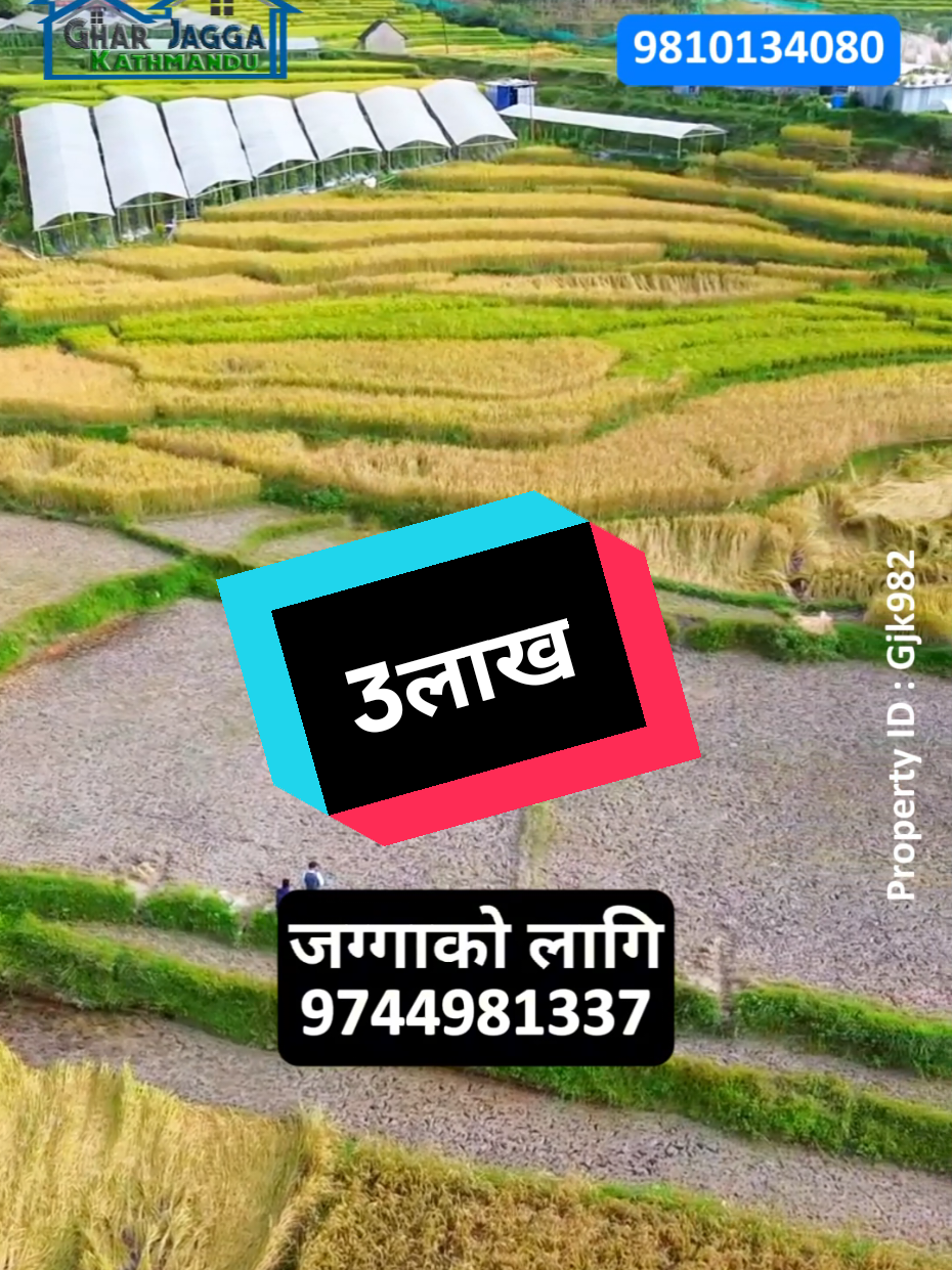 @Bikri Sewa