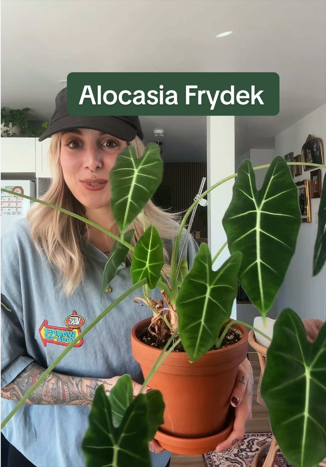@Laura | Plants & Home decor