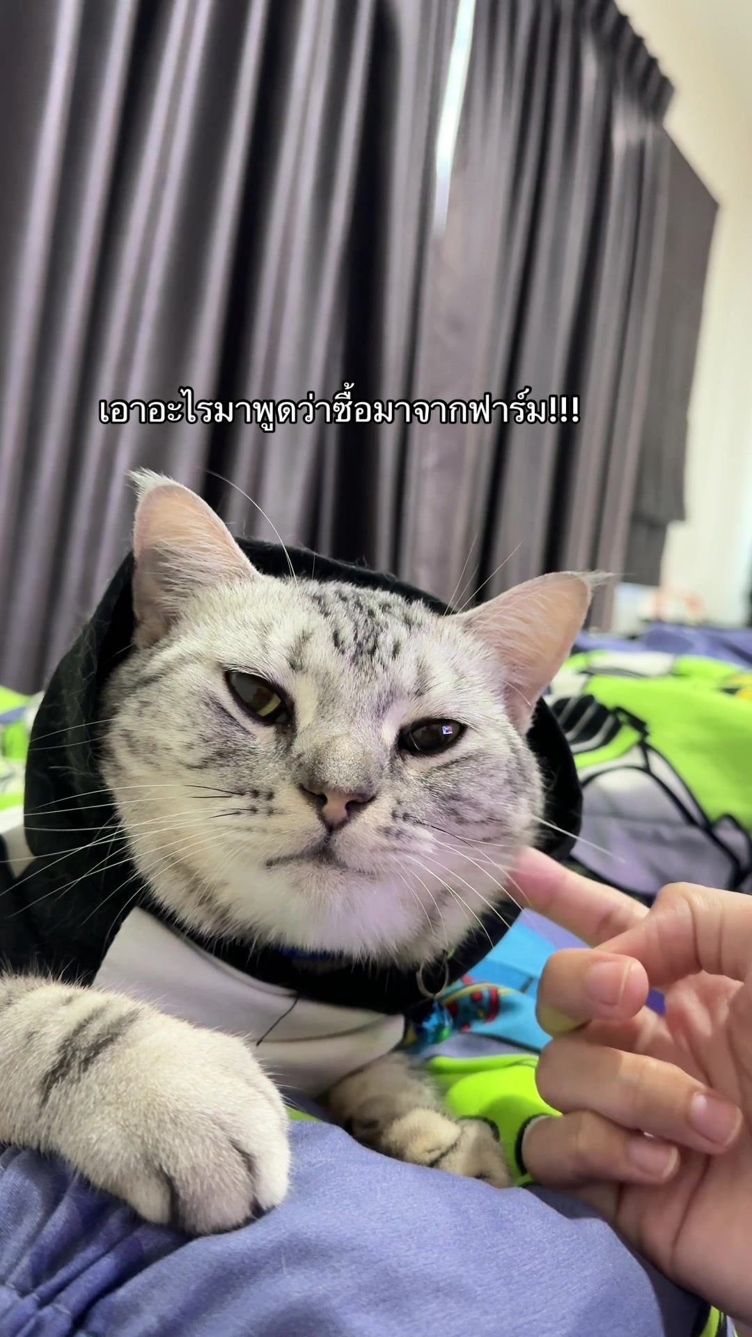 @pxng