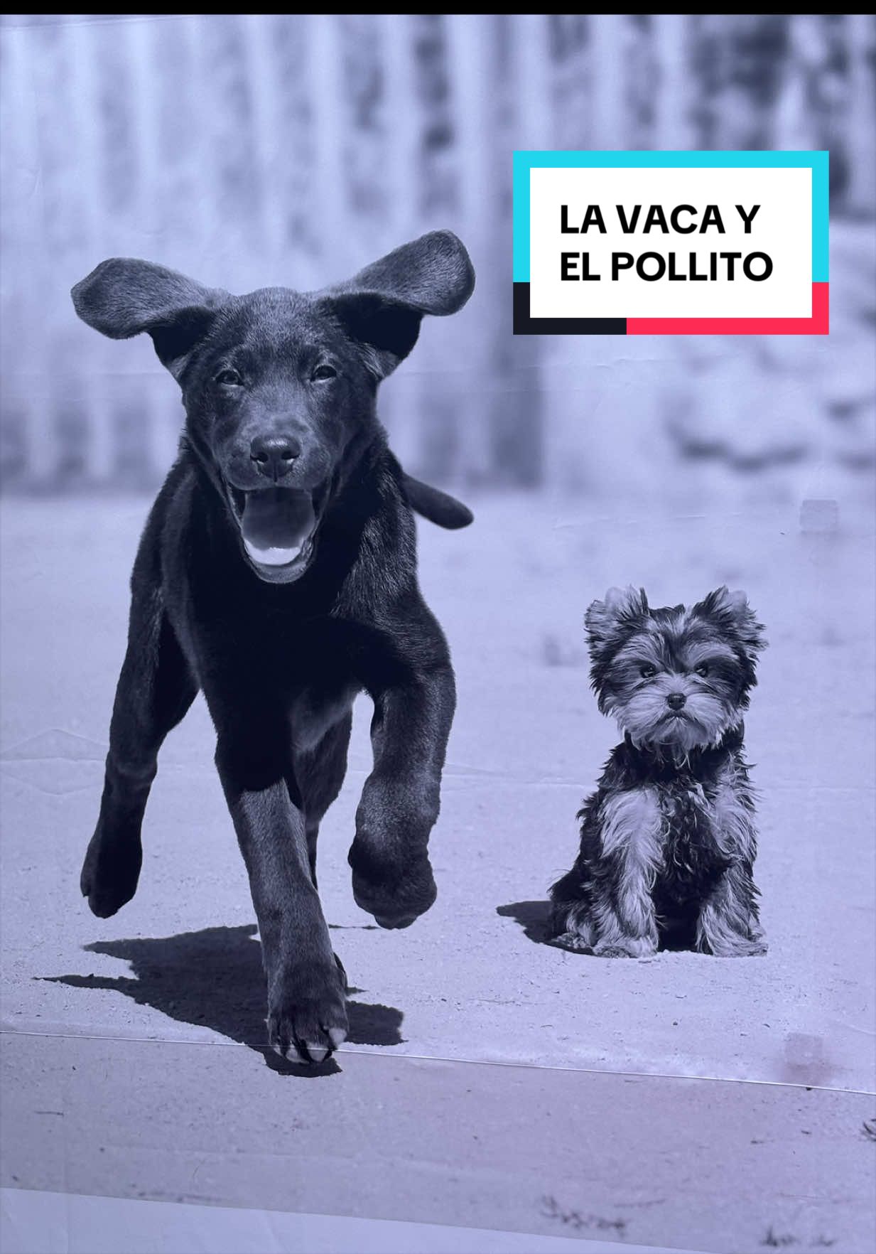 @Alex Lía