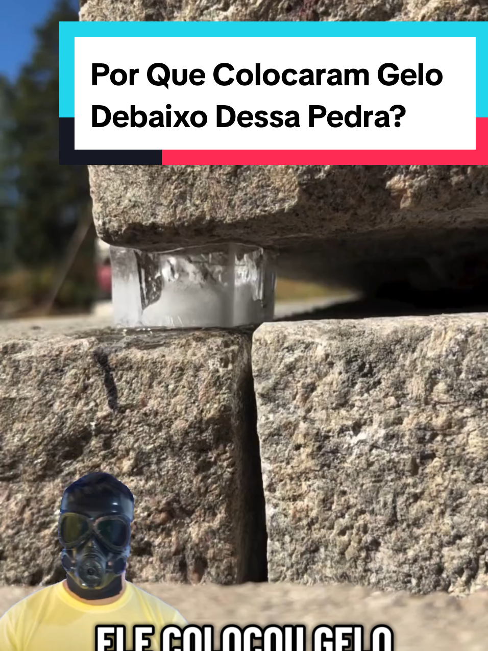 @Mundo da Curiosidades