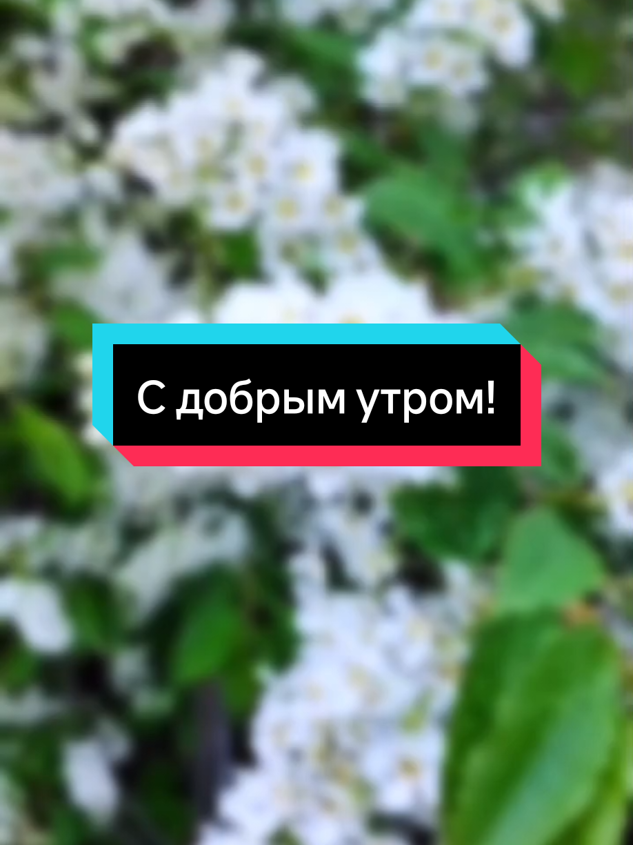 @Елена.