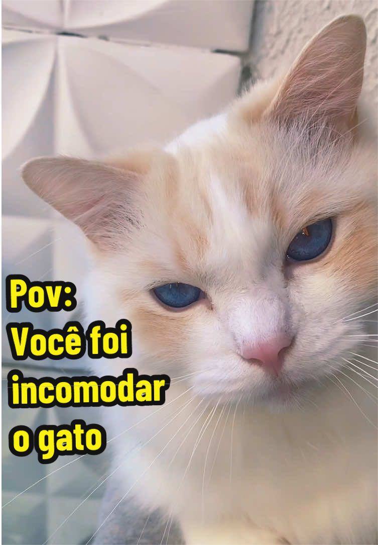 @๐ซ๐๐๐๐๐ โก