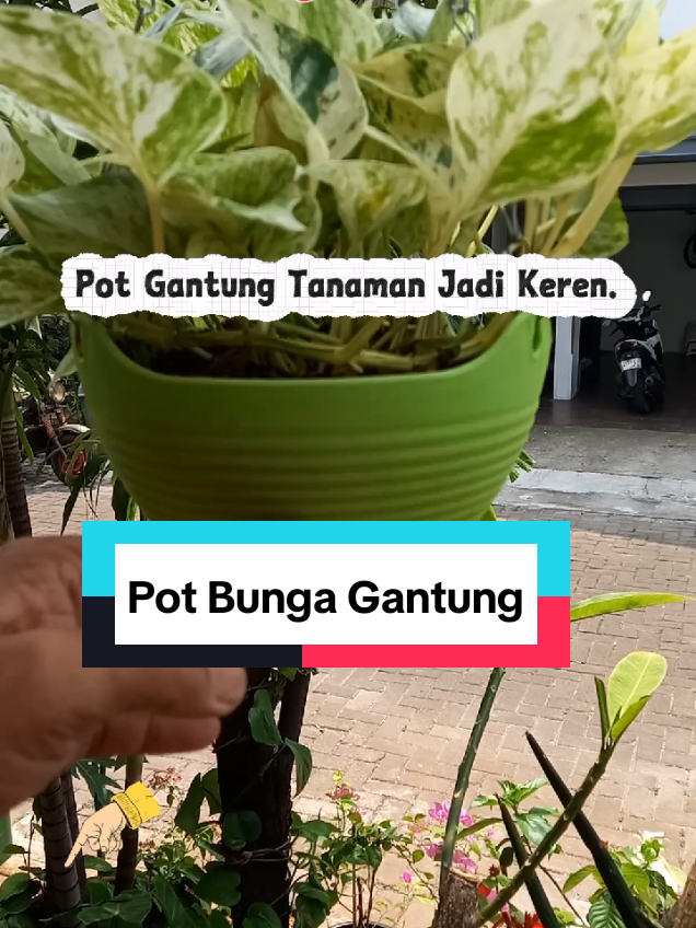 @Roslan.Robert
