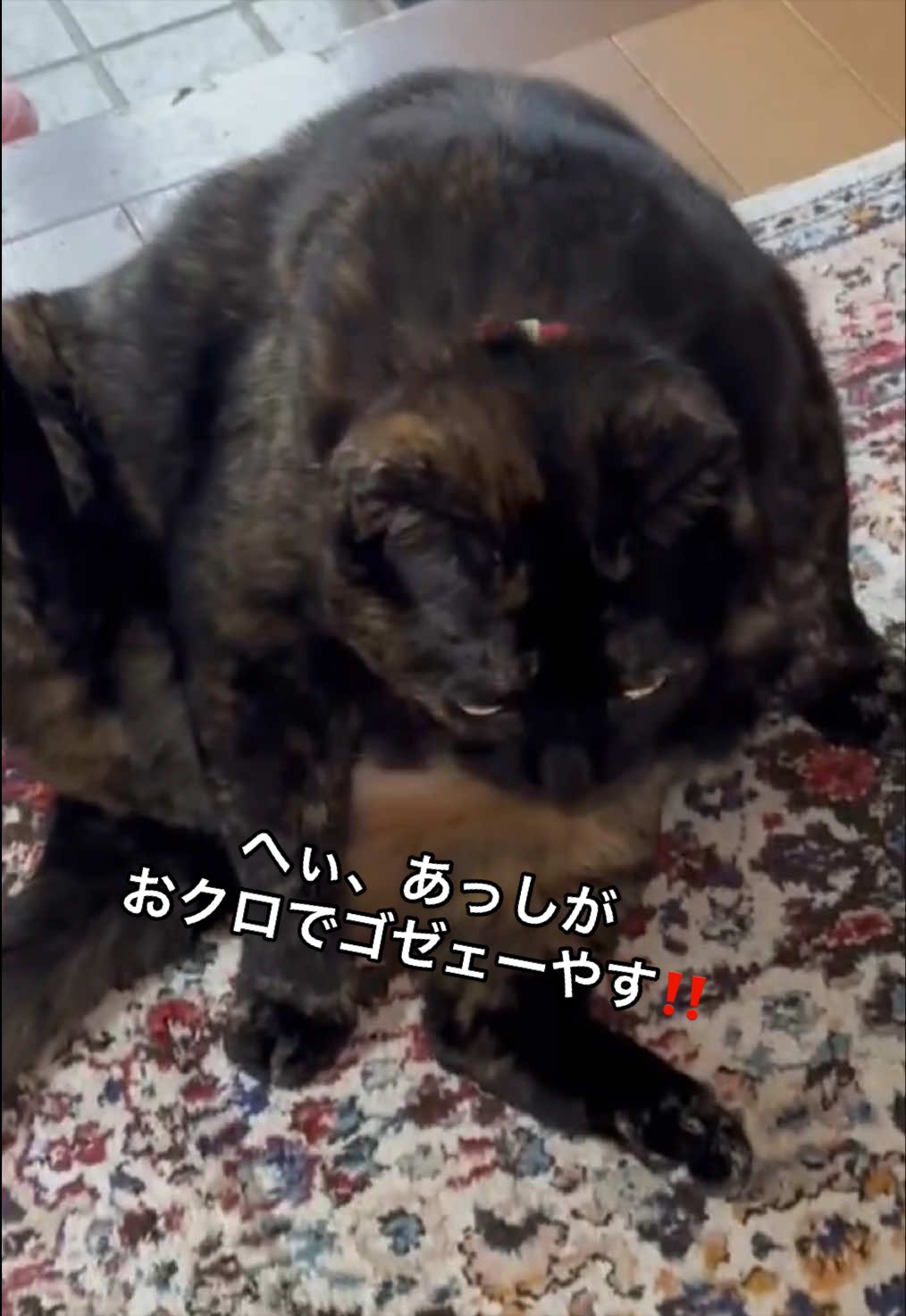 @聴々物語PROJECT