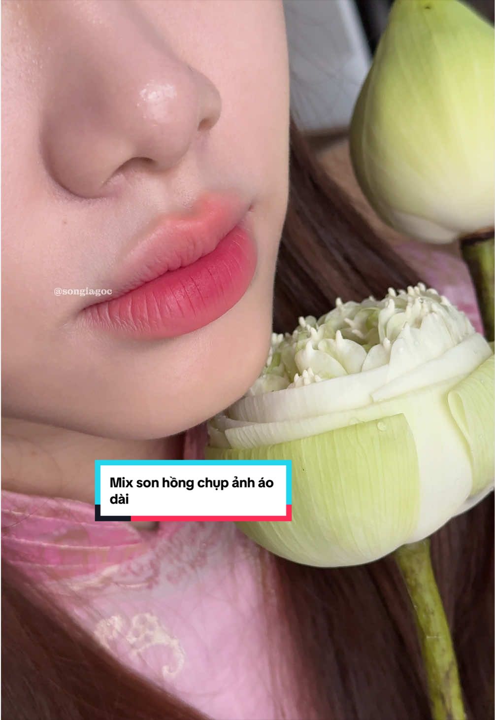 @Son Gi&aacute; Gốc