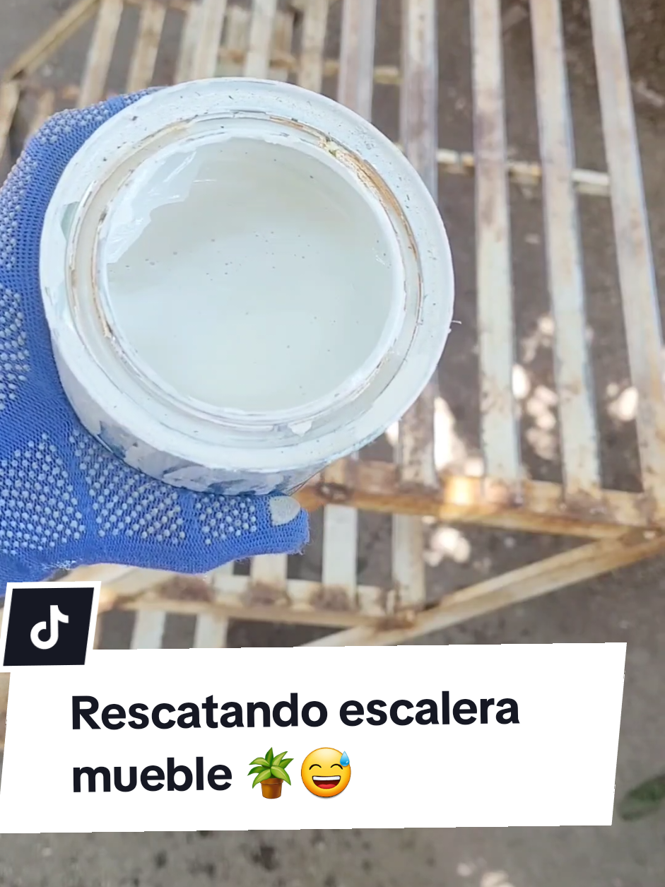 @Plantolog&iacute;a🌿