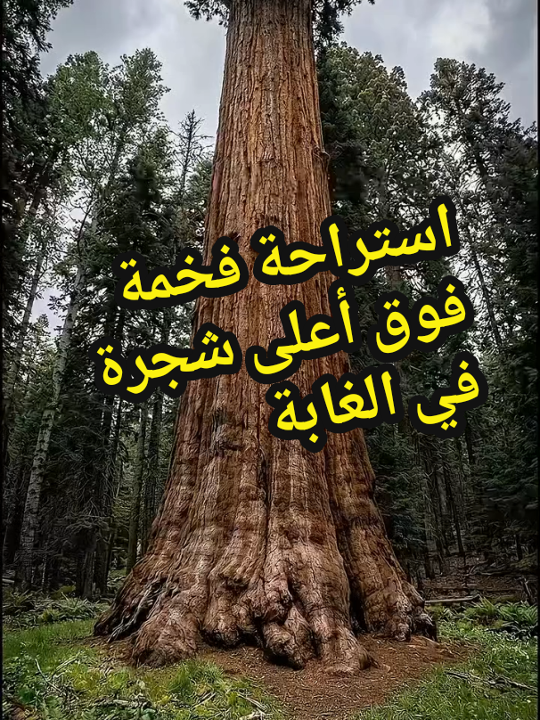 @الافتراس