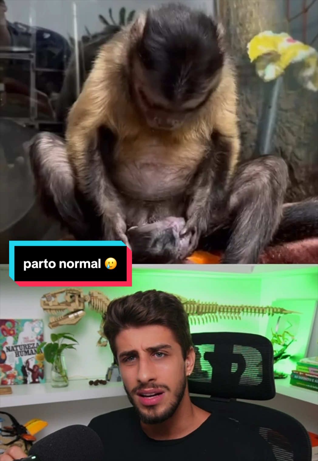 @Yago Stephano