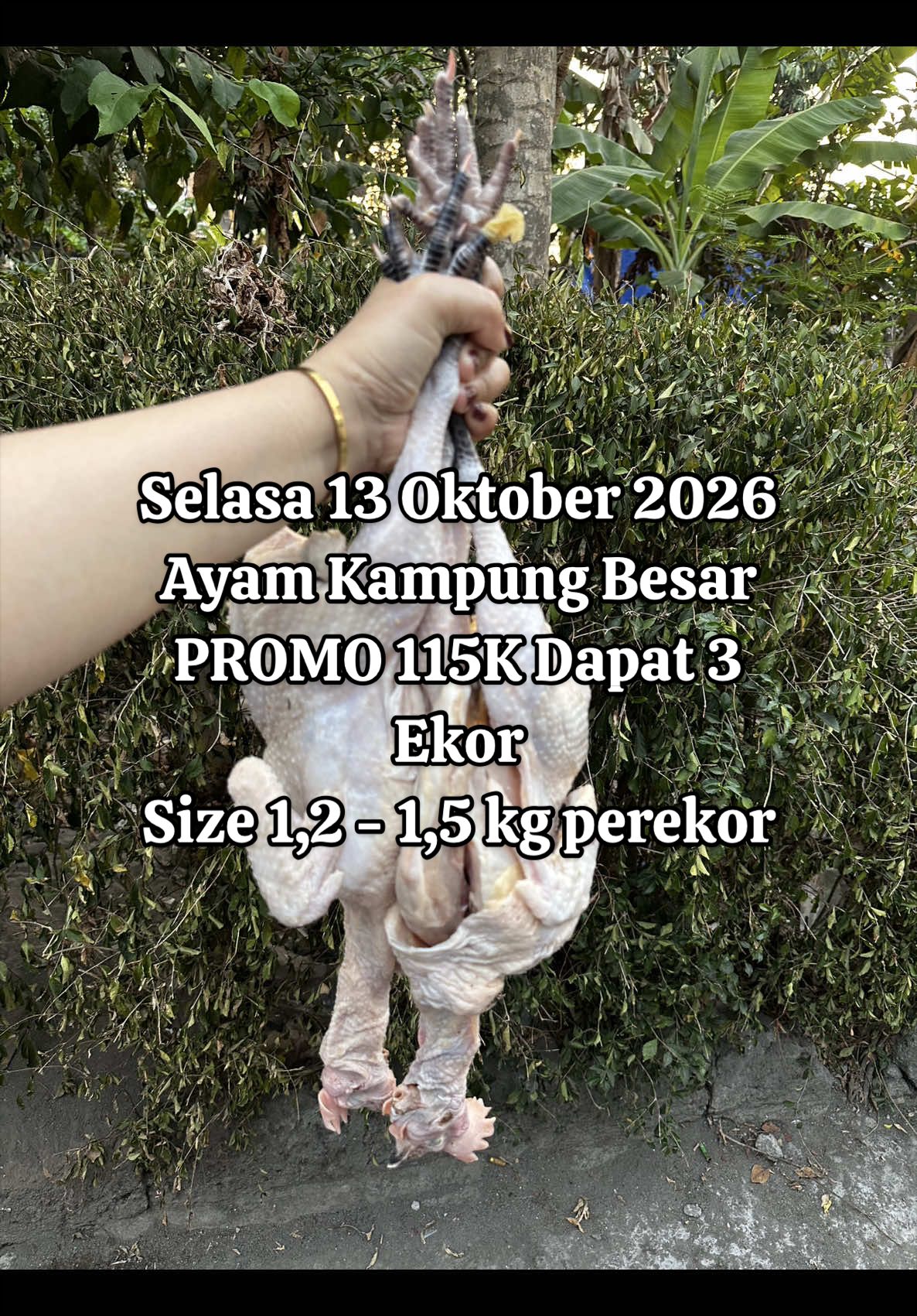 @pesekseafood