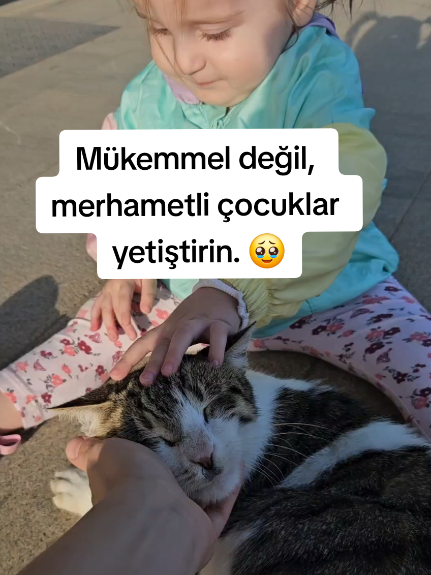 @Gülcan Kuyumcu